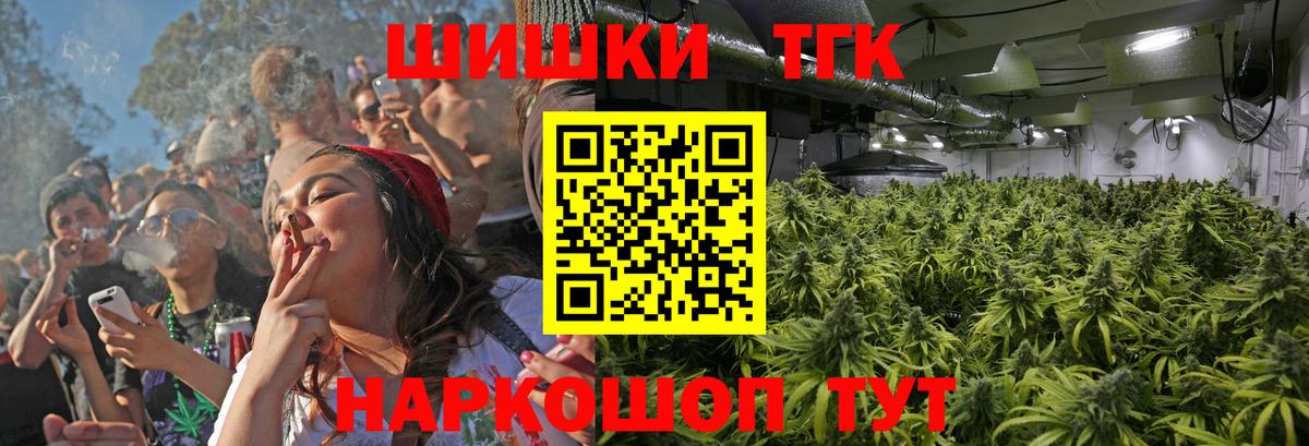 Бошки Шишки гибрид Ставрополь